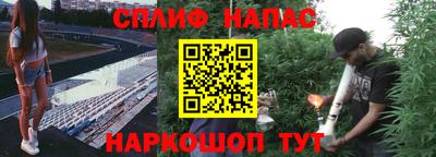 шишки Будённовск