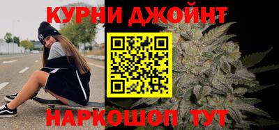 шишки Будённовск