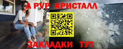 шишки Будённовск