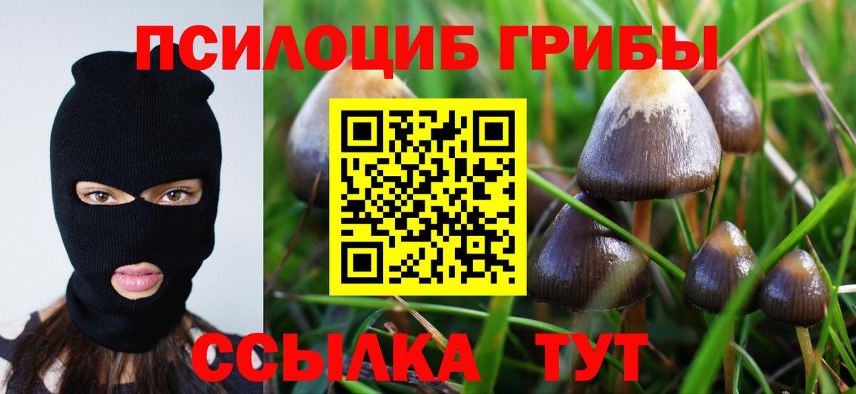 Галлюциногенные грибы MAGIC MUSHROOMS  Вход с VPN  Новокузнецк 