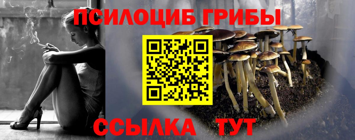 Псилоцибиновые грибы Magic Shrooms Новокузнецк
